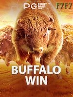Buffalo Win icon
