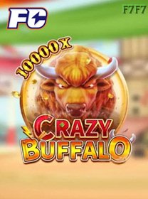 Crazy Buffalo banner