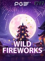 Wild Fireworks banner